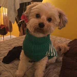 Meet your Posher, Emma